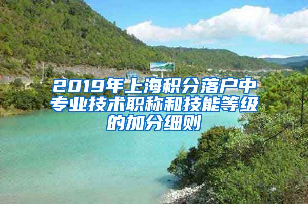 2019年上海积分落户中专业技术职称和技能等级的加分细则