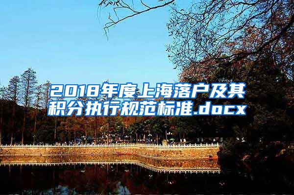 2018年度上海落户及其积分执行规范标准.docx