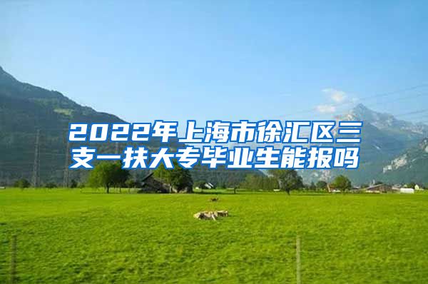 2022年上海市徐汇区三支一扶大专毕业生能报吗