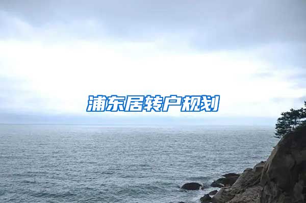 浦东居转户规划