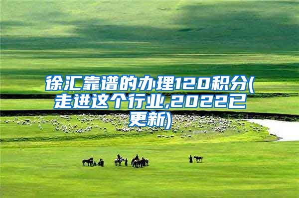 徐汇靠谱的办理120积分(走进这个行业,2022已更新)