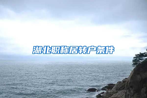 湖北职称居转户条件