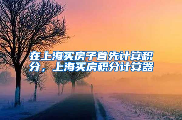 在上海买房子首先计算积分，上海买房积分计算器