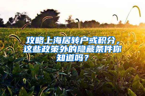 攻略上海居转户或积分，这些政策外的隐藏条件你知道吗？