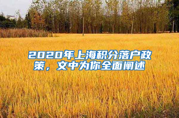 2020年上海积分落户政策，文中为你全面阐述