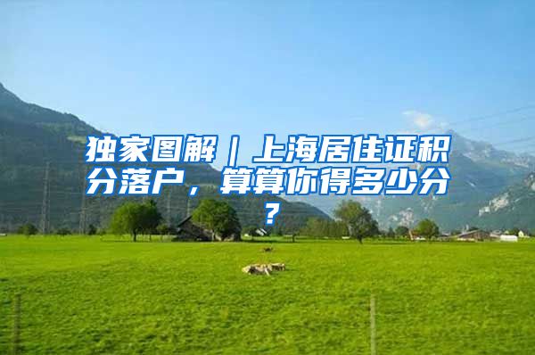 独家图解｜上海居住证积分落户，算算你得多少分？