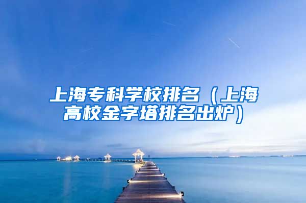 上海专科学校排名（上海高校金字塔排名出炉）