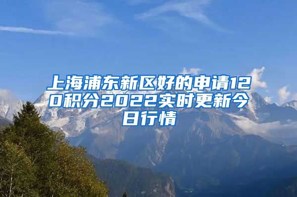 上海浦东新区好的申请120积分2022实时更新今日行情