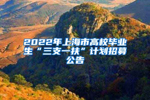 2022年上海市高校毕业生“三支一扶”计划招募公告