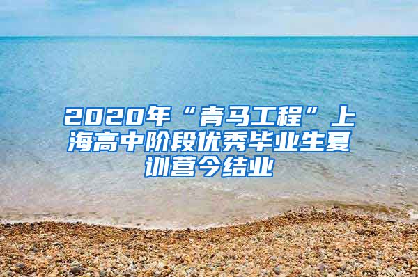 2020年“青马工程”上海高中阶段优秀毕业生夏训营今结业