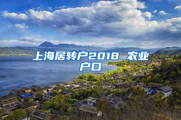 上海居转户2018 农业户口