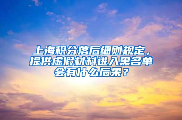 上海积分落后细则规定，提供虚假材料进入黑名单会有什么后果？