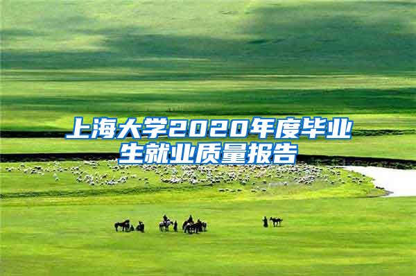 上海大学2020年度毕业生就业质量报告