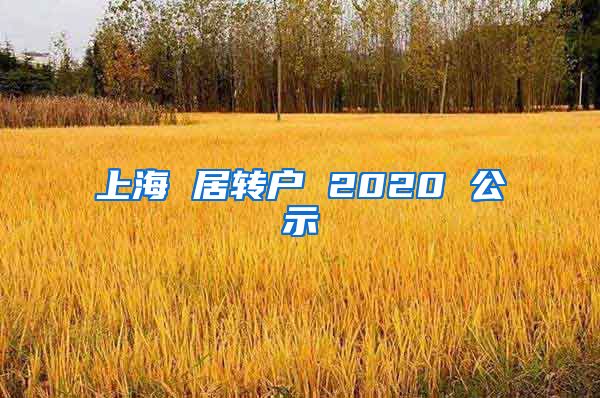 上海 居转户 2020 公示