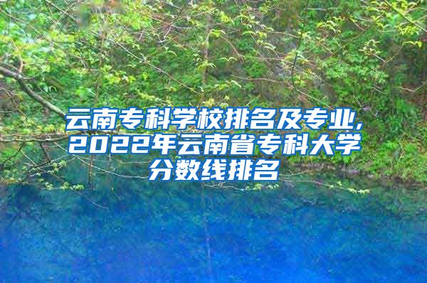 云南专科学校排名及专业,2022年云南省专科大学分数线排名