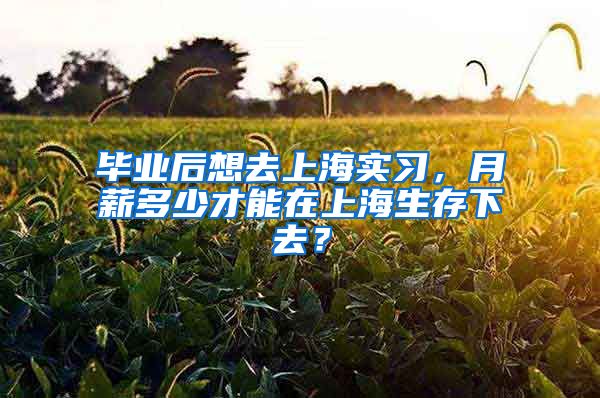 毕业后想去上海实习，月薪多少才能在上海生存下去？