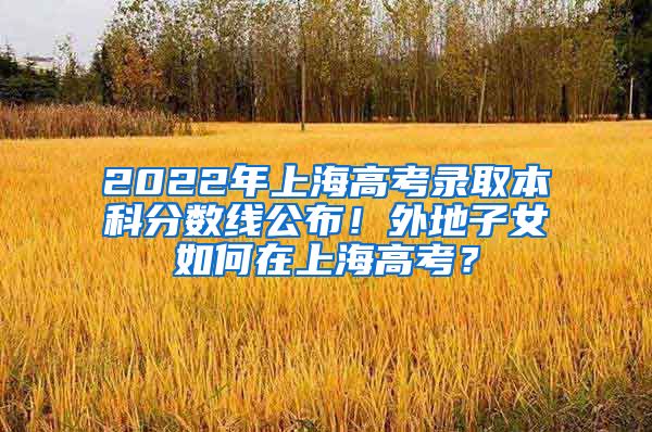 2022年上海高考录取本科分数线公布！外地子女如何在上海高考？