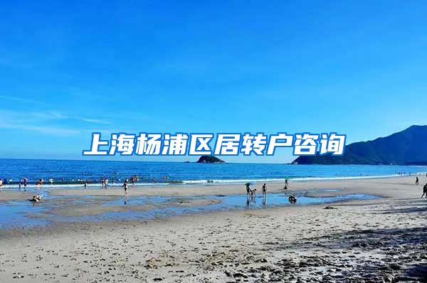 上海杨浦区居转户咨询