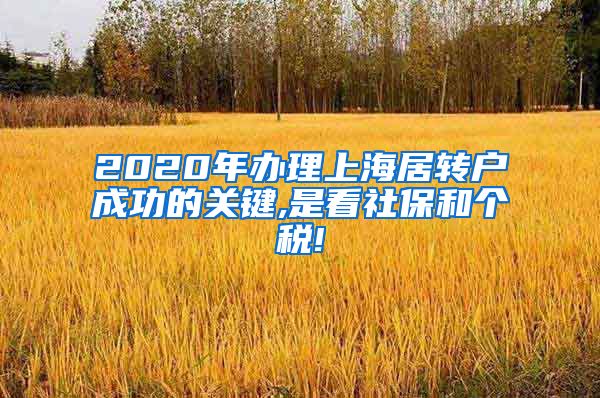 2020年办理上海居转户成功的关键,是看社保和个税!