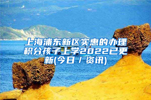 上海浦东新区实惠的办理积分孩子上学2022已更新(今日／资讯)