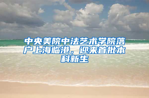 中央美院中法艺术学院落户上海临港，迎来首批本科新生