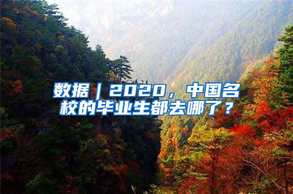 数据｜2020，中国名校的毕业生都去哪了？