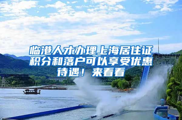 临港人才办理上海居住证积分和落户可以享受优惠待遇！来看看