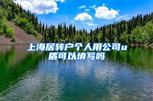 上海居转户个人用公司u盾可以填写吗