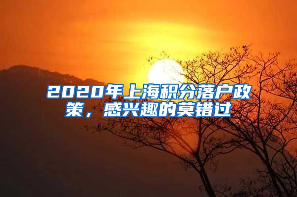 2020年上海积分落户政策，感兴趣的莫错过