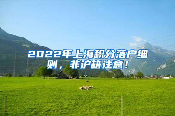 2022年上海积分落户细则，非沪籍注意！