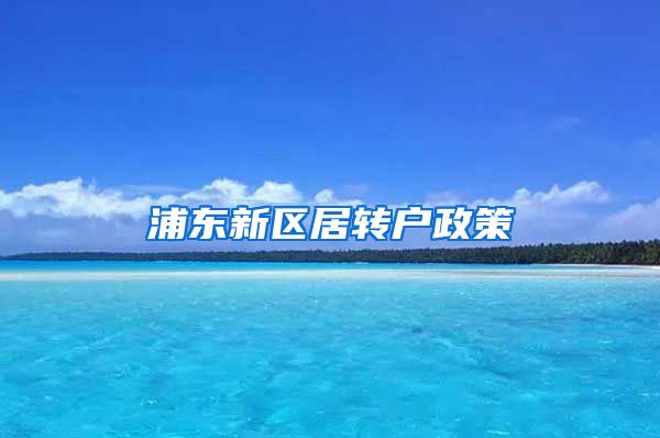 浦东新区居转户政策