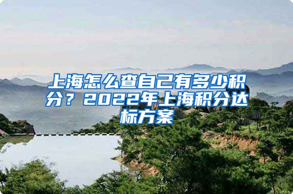 上海怎么查自己有多少积分？2022年上海积分达标方案