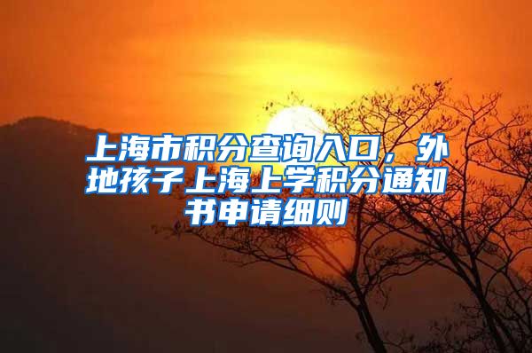 上海市积分查询入口，外地孩子上海上学积分通知书申请细则
