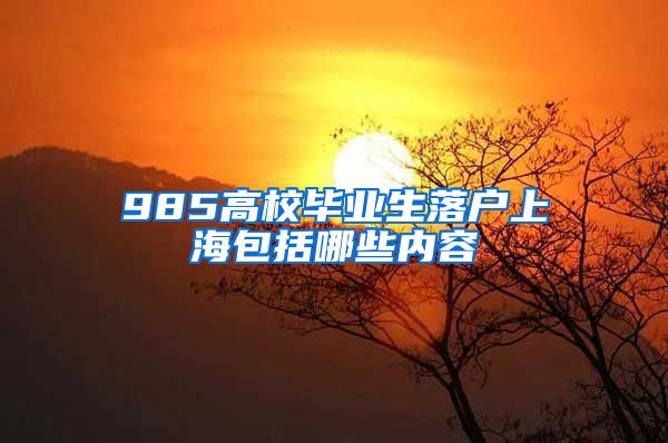 985高校毕业生落户上海包括哪些内容