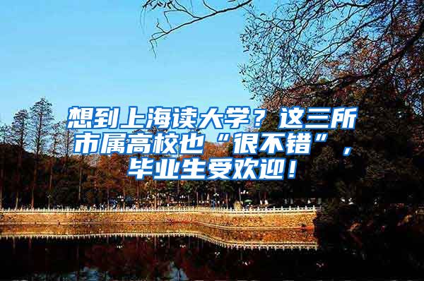 想到上海读大学？这三所市属高校也“很不错”，毕业生受欢迎！