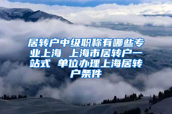 居转户中级职称有哪些专业上海 上海市居转户一站式 单位办理上海居转户条件