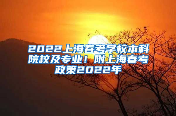 2022上海春考学校本科院校及专业！附上海春考政策2022年