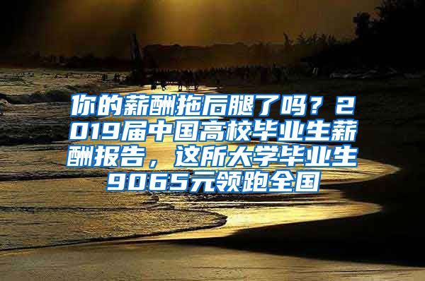 你的薪酬拖后腿了吗？2019届中国高校毕业生薪酬报告，这所大学毕业生9065元领跑全国