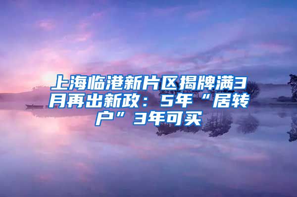 上海临港新片区揭牌满3月再出新政：5年“居转户”3年可买