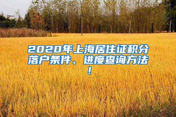 2020年上海居住证积分落户条件、进度查询方法！