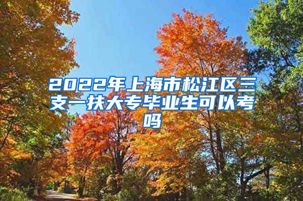 2022年上海市松江区三支一扶大专毕业生可以考吗