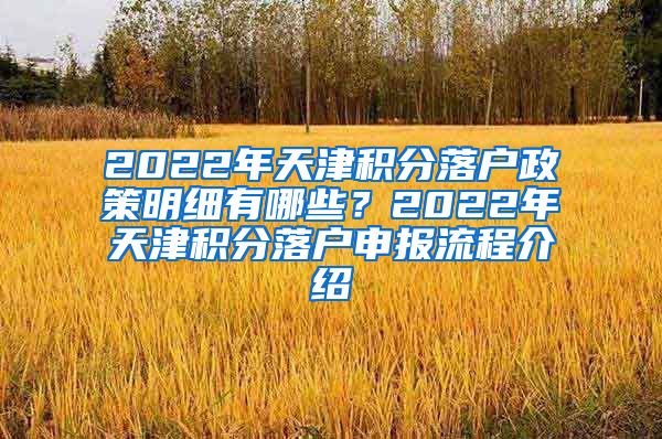 2022年天津积分落户政策明细有哪些？2022年天津积分落户申报流程介绍