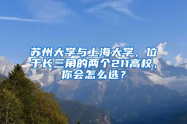 苏州大学与上海大学，位于长三角的两个211高校，你会怎么选？