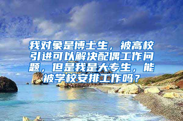 我对象是博士生，被高校引进可以解决配偶工作问题，但是我是大专生，能被学校安排工作吗？