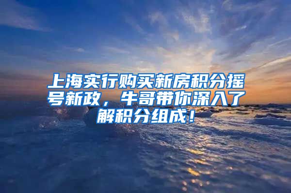 上海实行购买新房积分摇号新政，牛哥带你深入了解积分组成！