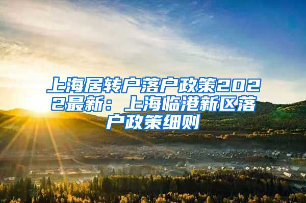 上海居转户落户政策2022最新：上海临港新区落户政策细则