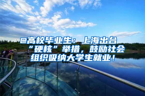 @高校毕业生：上海出台“硬核”举措，鼓励社会组织吸纳大学生就业！