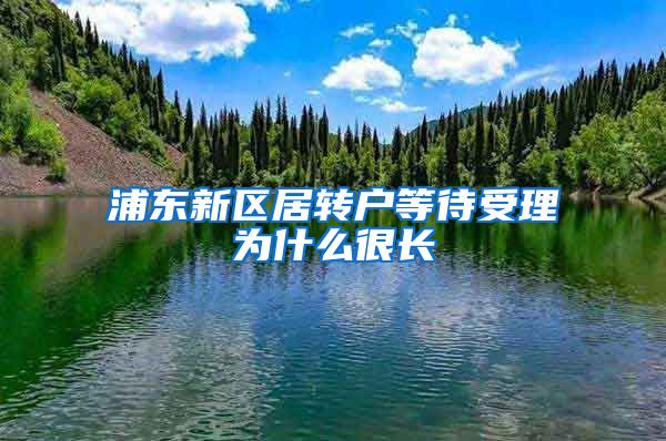 浦东新区居转户等待受理为什么很长