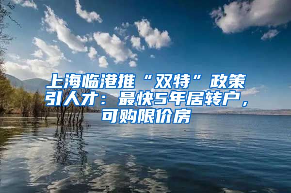 上海临港推“双特”政策引人才：最快5年居转户，可购限价房