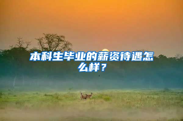 本科生毕业的薪资待遇怎么样？